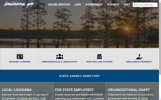 Louisiana Web Design website
