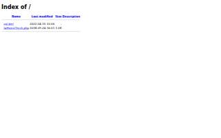 The Champagne Palace website