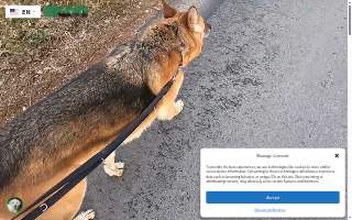 Bonin Dog Training Center website