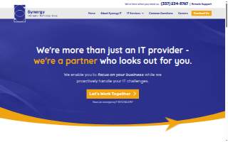 Synergy ITG website