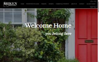 Briken & Associates Inc website