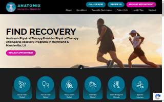 Anatomix Physical Therapy website