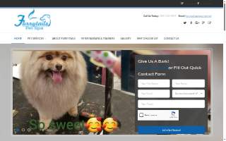 Furrytails Pet Spa website