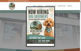 Black Bayou Boarding Downtown website