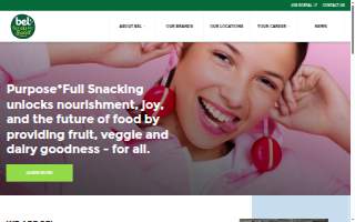 Bel Air Pet Care website