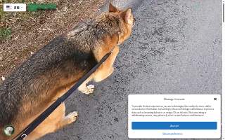 Bonin Dog Training Center website
