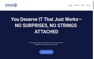 Intelek Technology Solutions website