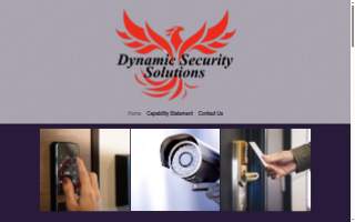 Dynamic Security Solutions LLC website