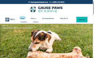 Gause Paws Pet Resort and Boutique website