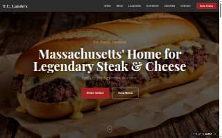 T.C. Lando's website