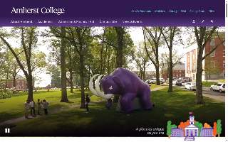 Amherst Family Center website
