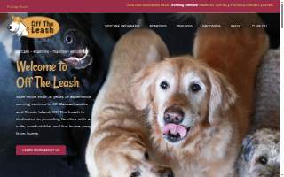 The Leash Doggie Daycare website