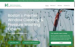 Meticulous Window Cleaning & Pressure Washing website