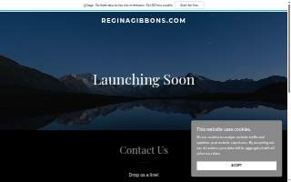Regina Gibbons, MBA, Lic. Ac. website