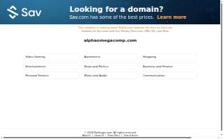 Alpha Omega Computer Solutions website