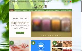 Ayur Services LLC website