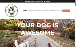 Boston Fetch website