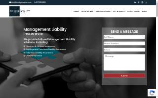 BR Risk Group Specialty Insurance website