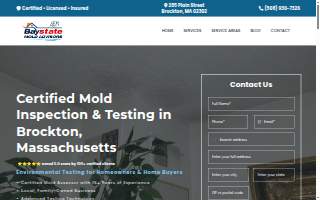 Baystate Mold Advisors LLC website