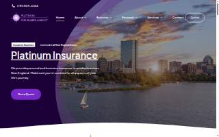 Platinum Insurance Agency website