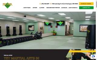 Premier Martial Arts Burlington website