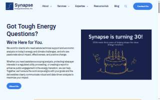Synapse Energy Economics Inc website