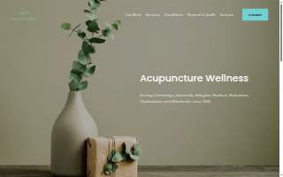 Debra Wood Acupuncture Wellness website
