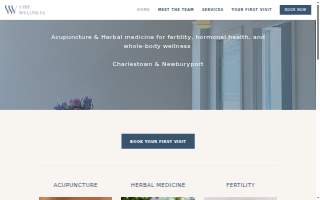 VIBE Wellness website