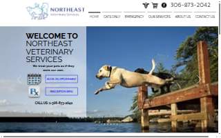 Northeast Veterinary Hospital of Danvers website