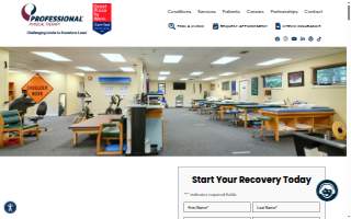 Professional Physical Therapy website
