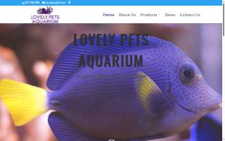 Lovely Pets Aquarium of Duxbury website