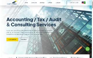 Capital Tax Solutions Inc website