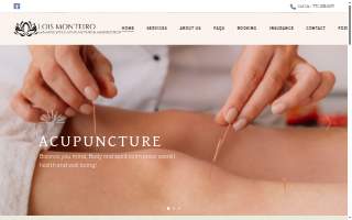 Acupuncture by Lois of Middleborough website