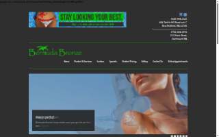 Bermuda Bronze website