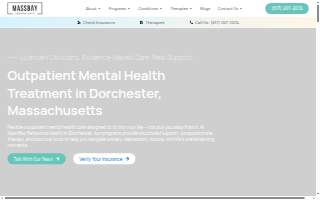 Mass Bay Behavioral Health website