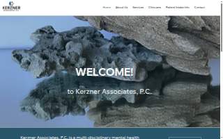 Kerzner Associates website
