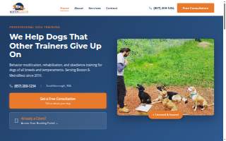 Boston Dogtor of Framingham website