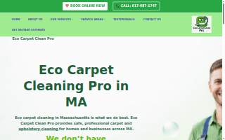 Eco Carpet Clean Pro website