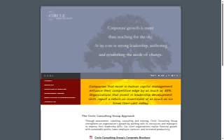 Circle Consulting Group website