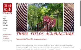 Three Fields Acupuncture website