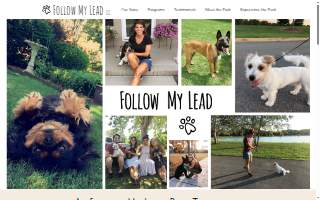 Follow My Lead Dog Training of Holbrook website