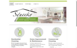 Squeeky Cleaners website