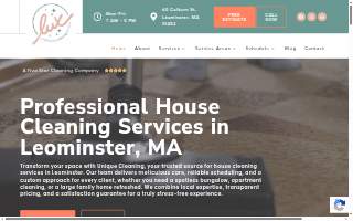 Lux Professional Cleaning Service website