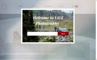 VIGI Photography website