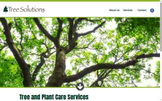 National Physical Therapy website