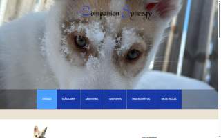 Companion Synergy website