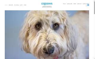 Creature Comforts and Pawsitively Marblehead website