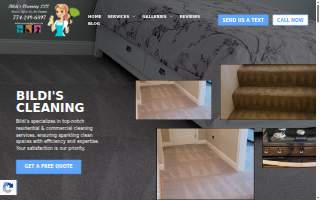 Bildi's Cleaning website
