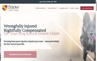 Snow Law Firm website