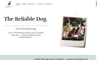 The Reliable Dog website